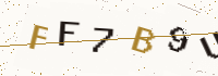 Security code image